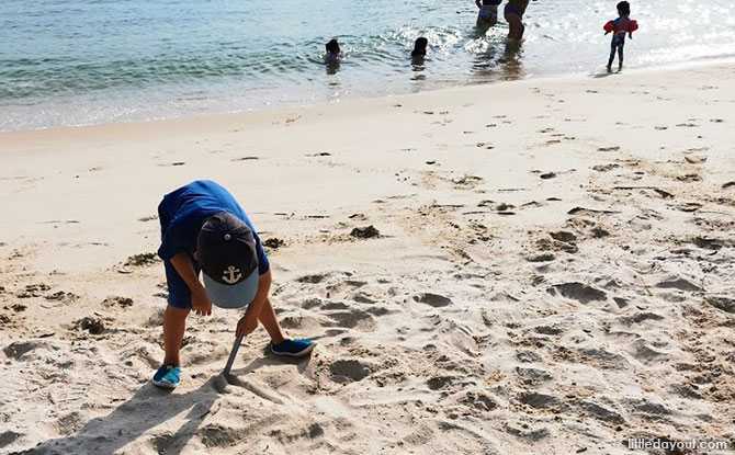 BEach Clean Up