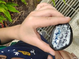 Rock The Parks With SG Rocks: Interview With The Founders Of SG Rocks