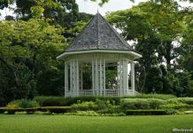 Singapore Botanic Gardens Heritage Festival 2025