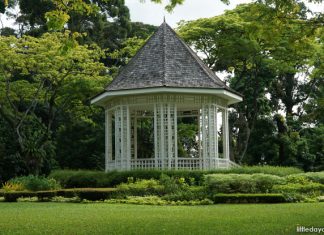 Singapore Botanic Gardens Heritage Festival 2025