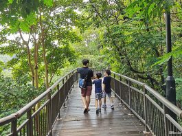 Bite-Sized Parenting: Staying Active As A Family – Ideas & How To Do So