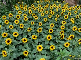 23 April Puns & Jokes For An Entire Month Full Of Laughter