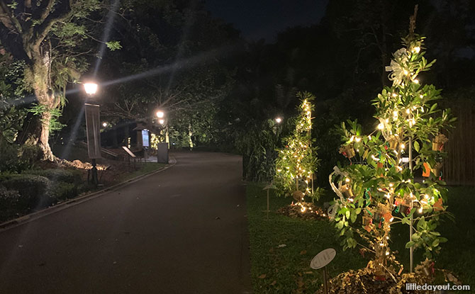Trees Of The World at Singapore Botanic Gardens