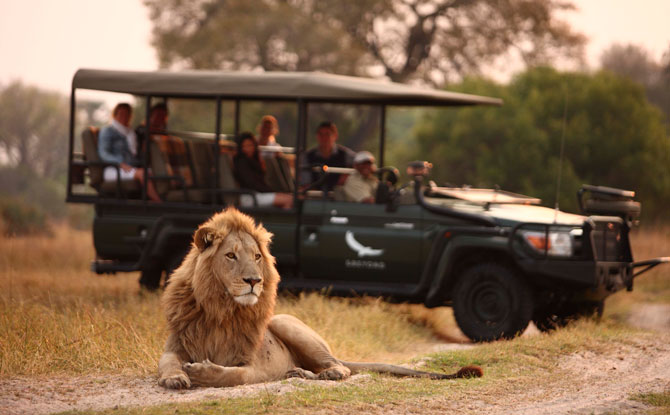 Virtual Visit to South Africa Game Reserves