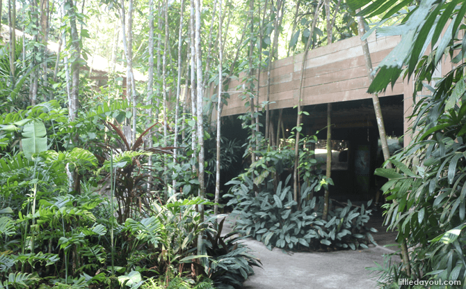 Visiting the Singapore Zoo - Lower Level of Otter Den