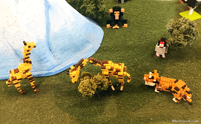 Wildlife Display, Nanoblock Museum, Changi Airport