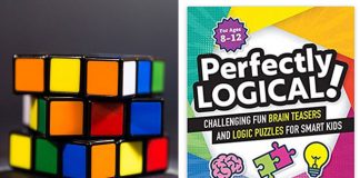 10+ Engaging Brain Puzzles, Games & Activities For Families And Children