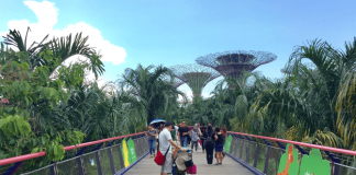 Gardens by the Bay's Dragonfly Bridge