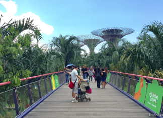 Gardens by the Bay: Supertrees, A Floating Baby, Hidden Ponds & 15+ More Spots to Visit Gardens by the Bay's Dragonfly Bridge
