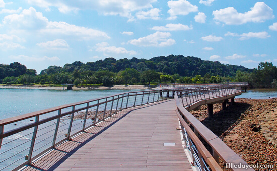 Bukit Chermin Boardwalk