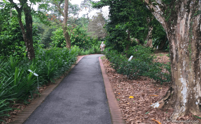 Red Brick Path, Singapore Botanic Gardens