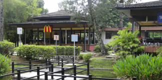 e02-Ridout-Tea-Garden