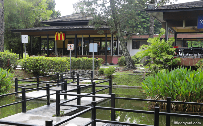 Tea Garden