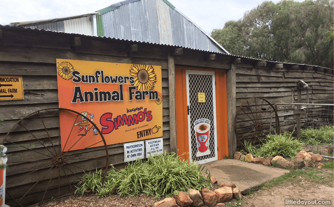 Sunflowers Animal Farm and Farmstay