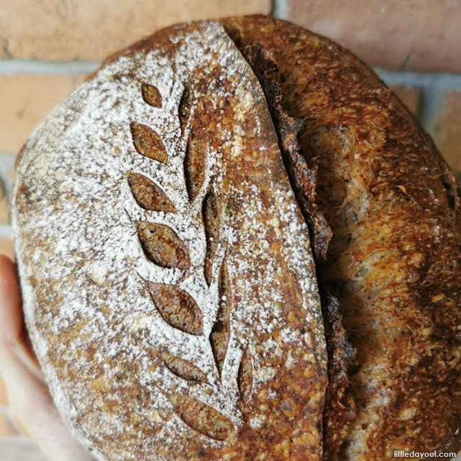 Beginner’s Steps on How to Make Sourdough