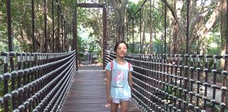 Rediscover Singapore: Suspension Bridges To Explore & Cross