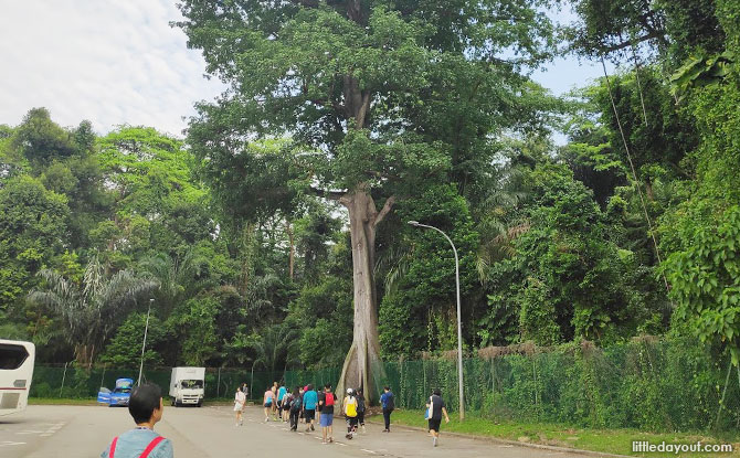 Seah Im Car Park