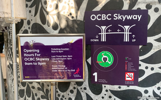 Visiting the OCBC Skyway At Gardens By The Bay