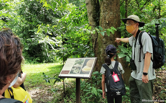 Pulau Ubin Sensory Trail: A Less Trodden Path Worth Exploring