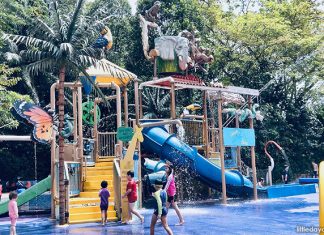 A Splashing Good Time At Rainforest KidzWorld, The Singapore Zoo Children’s Playground Rainforest Kidzworld