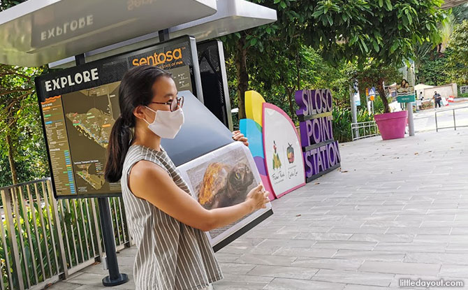 Sentosa Marine ConservAction