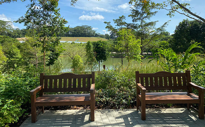 Therapeutic Garden at Punggol Waterway Park