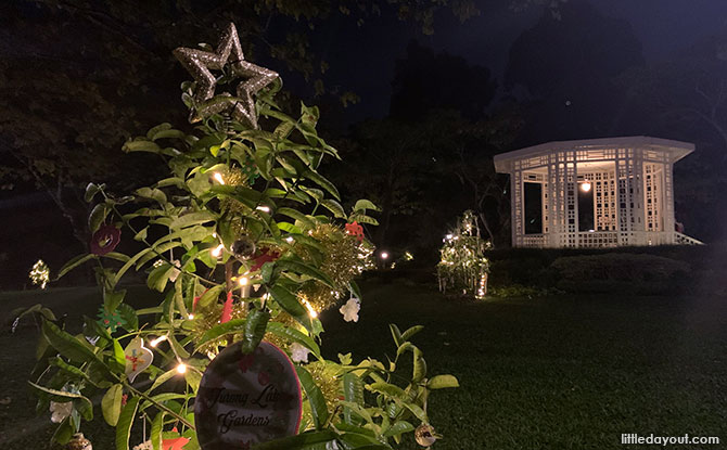 Trees Of The World: Magical Night Lights At Singapore Botanic Gardens