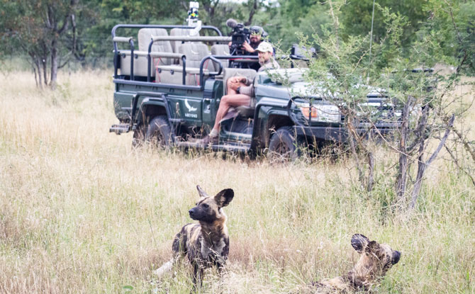 Virtual Visit to South Africa Game Reserves