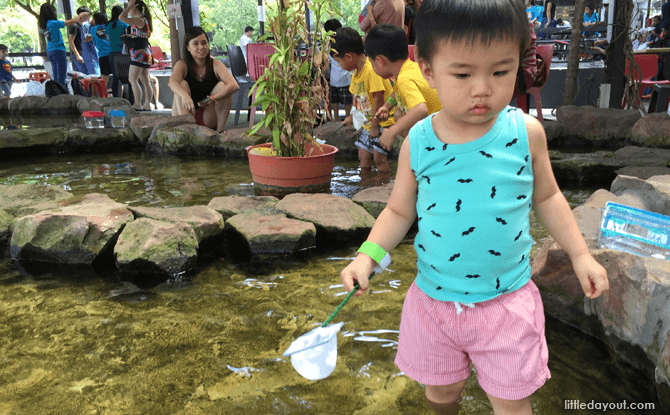 wading with fish