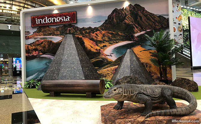 Indonesia - Photo Spots at Changi Airport