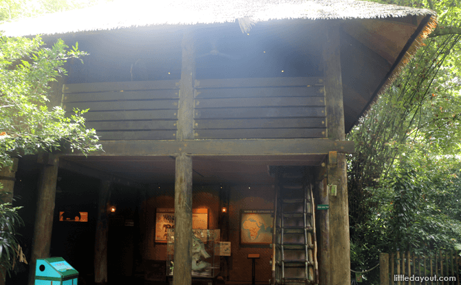 Elephant Hut - Elephants of Asia
