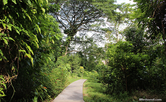 Windsor Nature Park: Hanguana Trail Overview