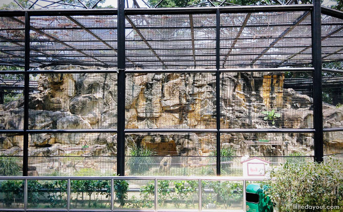 Hong Kong Zoo