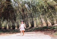 Bite-sized Parenting: 7 Benefits of Playing Outdoors 7 Benefits of Playing Outdoors