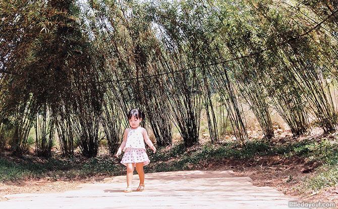 Nature Playgarden in HortPark