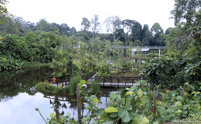 Keppel Discovery Wetlands, Learning Forest