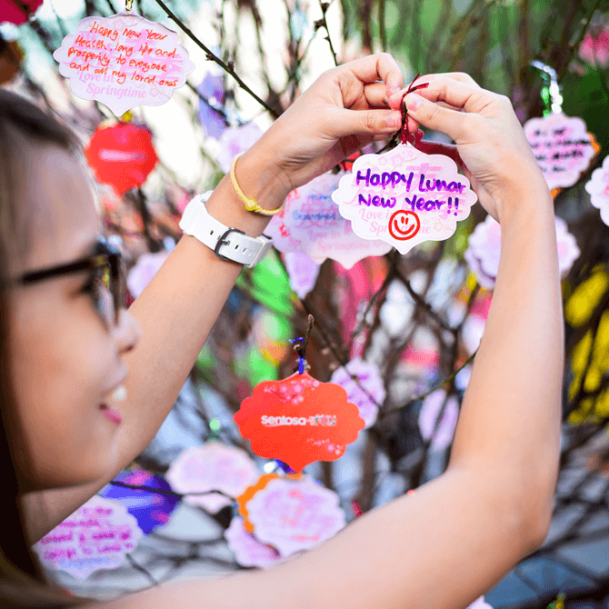 Pen-A-Wish booth at Merlion Plaza, Sentosa