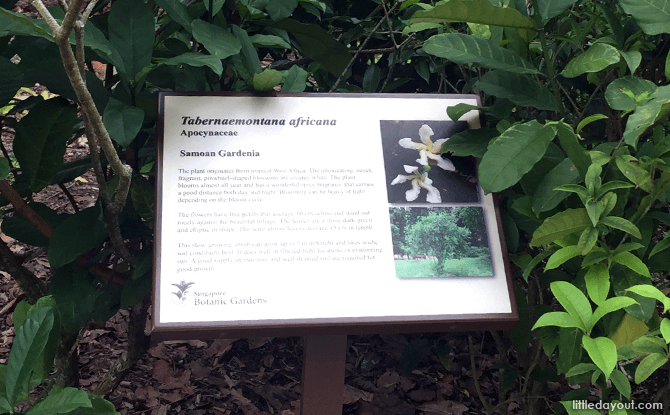 Panels describing the plants at Fragrant Garden