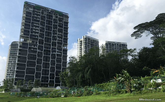 Urban Farming