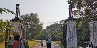 A Walk At Bukit Brown: A Fascinating Insight into History And Heritage Through Gravestones