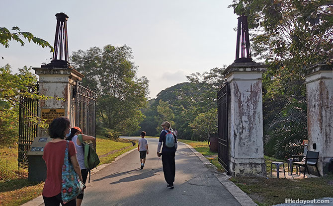 A Walk At Bukit Brown: A Fascinating Insight into History And Heritage Through Gravestones