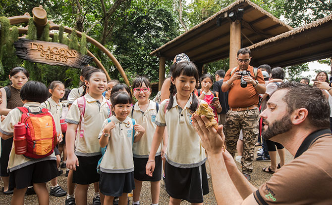 Dragons and Beast, Singapore Zoo, 2018