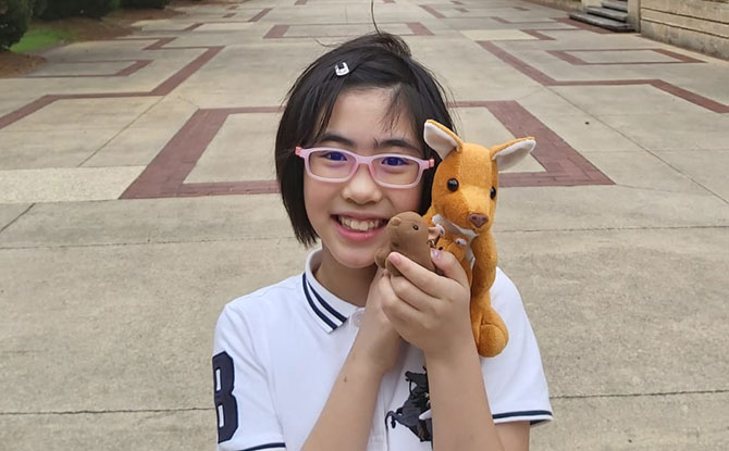 Kangaroo Soft Toy