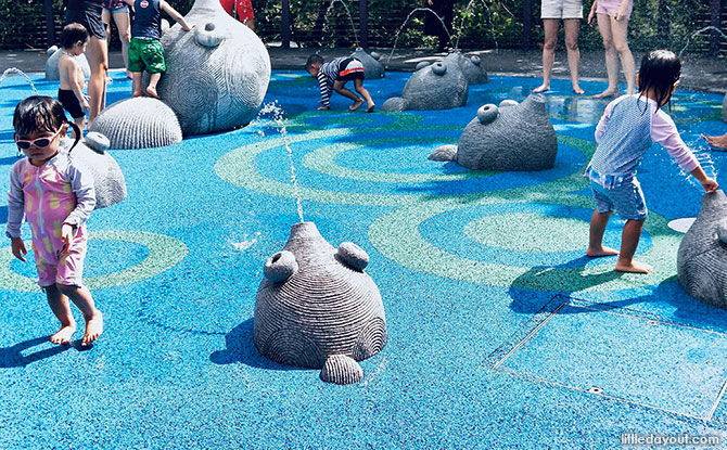 Water Play Area for Toddlers