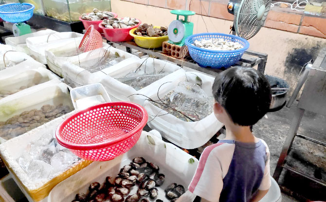 Visit a Wet Market