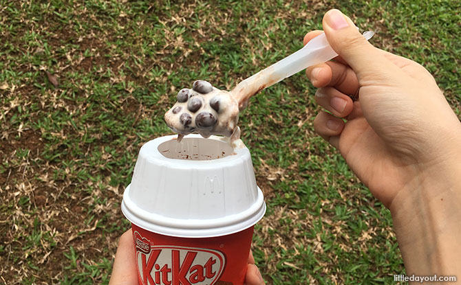 KIT KAT McFlurry