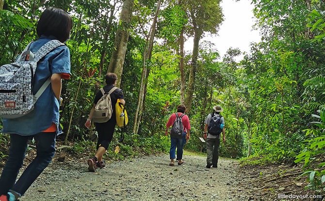 Pesta Ubin