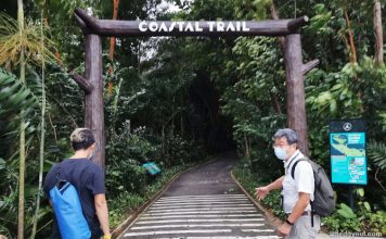 5 Reasons Why The Sentosa Siloso Headland Intertidal Walk At Tanjong ...