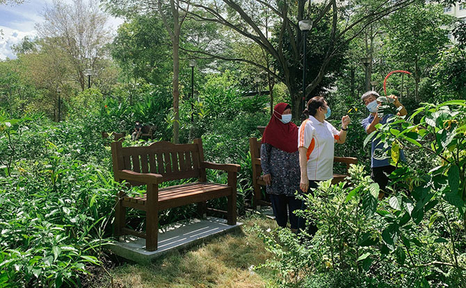 Punggol Waterway Park Therapeutic Garden