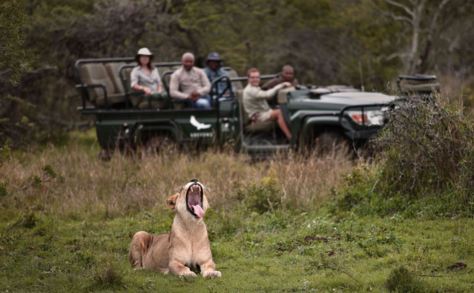 Private Virtual Safari Tours - &Beyond